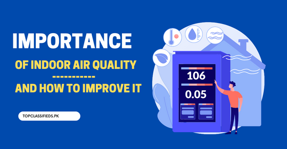 The Importance of Indoor Air Quality: How to Improve it in Your Home