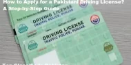 Pakistani Driving License
