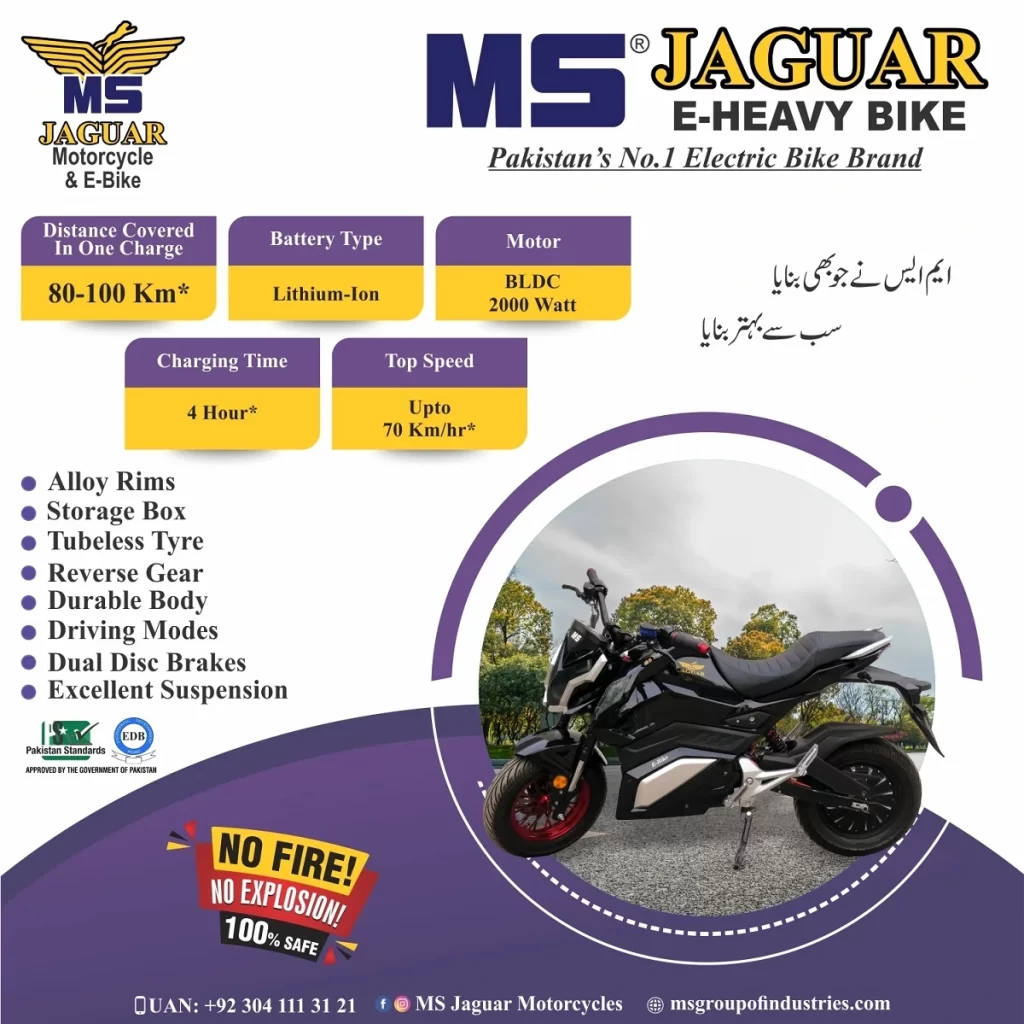 MS Jaguar Electric Bikes - MS E-Heavy Bike