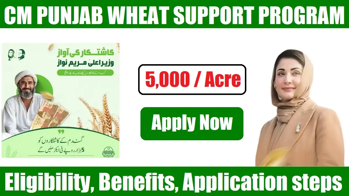 CM Punjab Wheat Support Program 2025