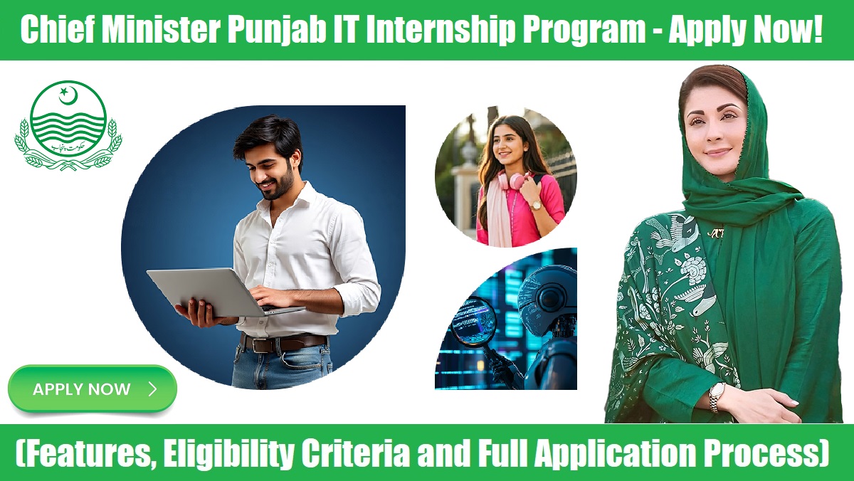 Chief Minister IT Internship Program